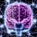 The Role of Neurotransmitters in MOGAD