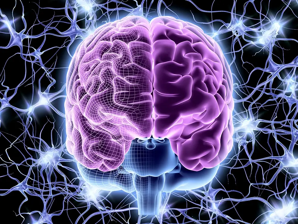 The Role of Neurotransmitters in MOGAD