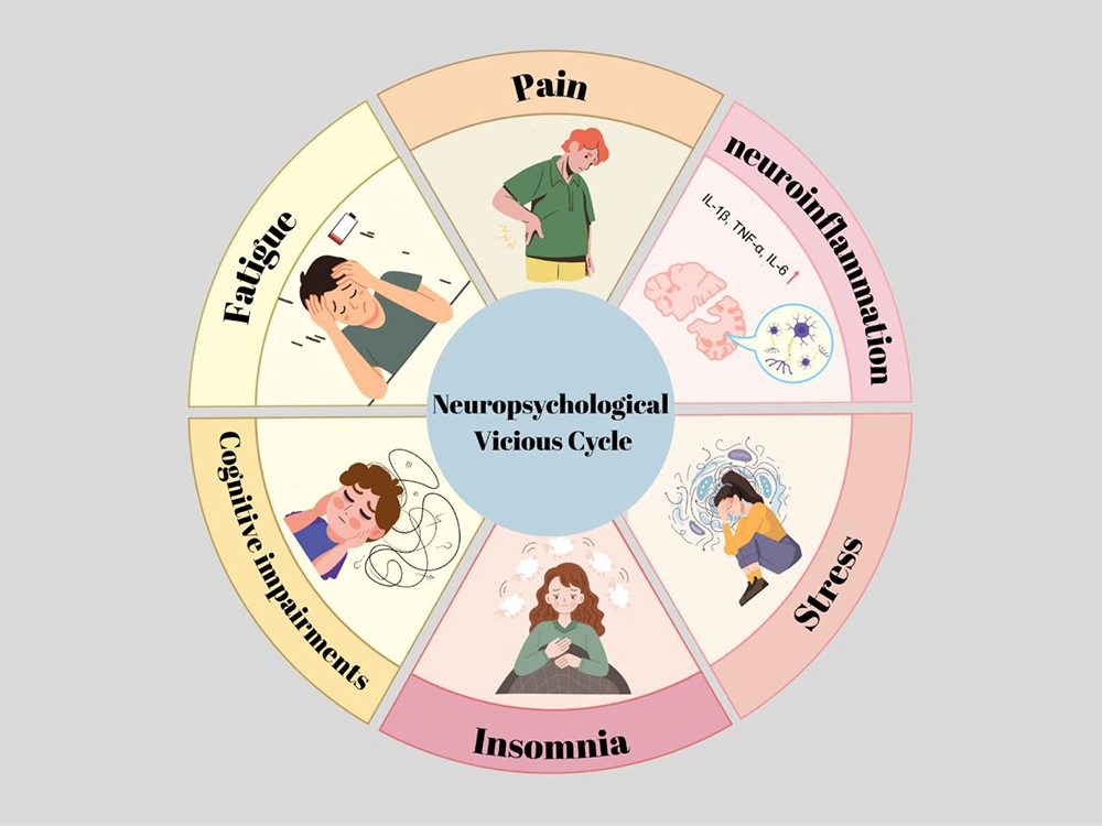 The Vicious Cycle of Living with MOGAD