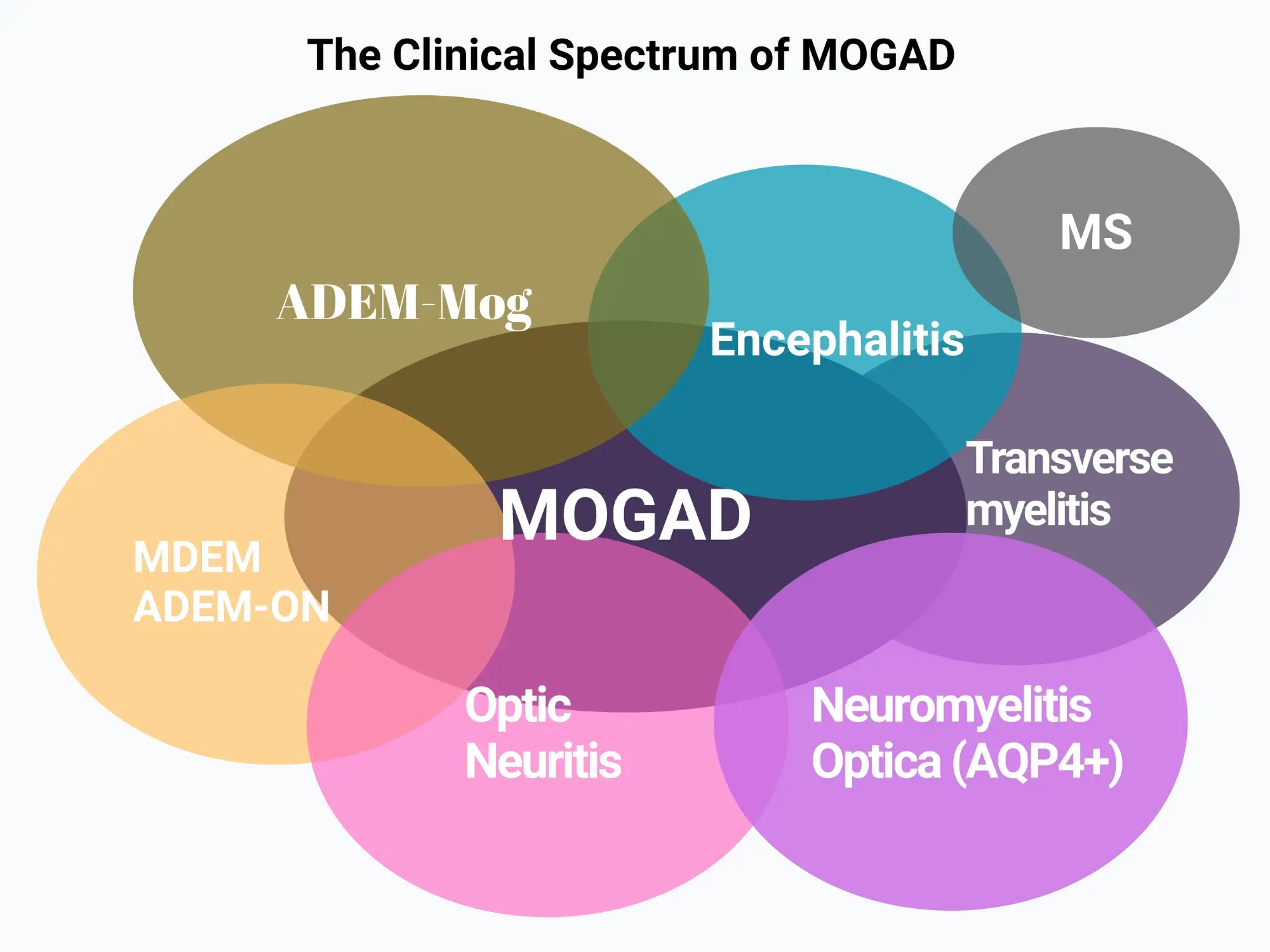 The Clinical Spectrum of Mogad